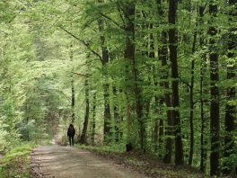 S14_Lisa spaziert von hinten quer Totale