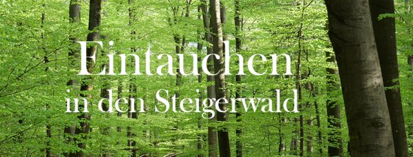 FB veranstaltung Header neu