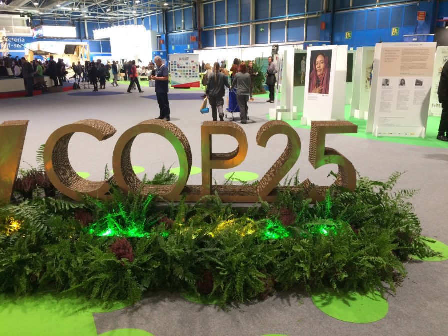 Lisa Badum von der COP25_2