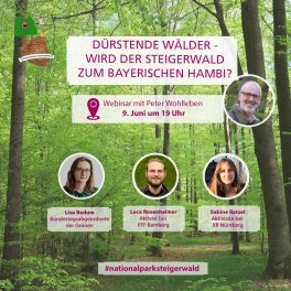 Steigerwald Webinar_SP Insta_2