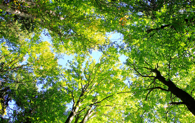 Bildschirmfoto 2020-07-14 um 11.26.43